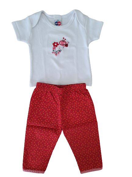 T-Shirt & Floral Pant Maricota, 6 months, 6 months Maricota  (4608319717431)