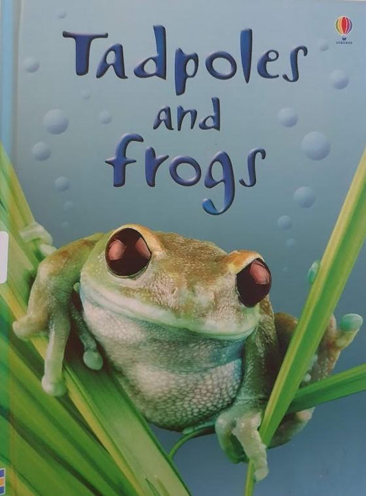 Tadpoles and Frogs Like New usborne  (6224364273849)