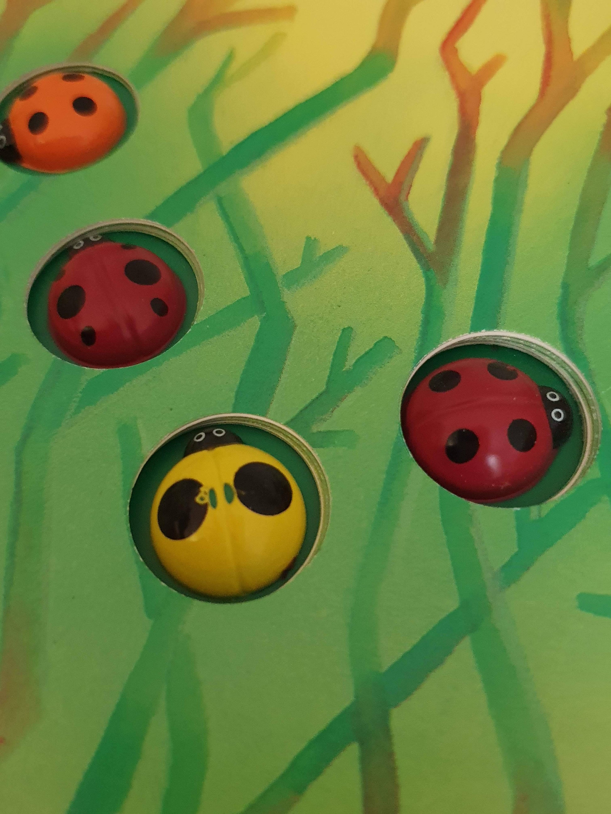 Ten Little Ladybug Like New,English Recuddles.ch  (6088029536441)