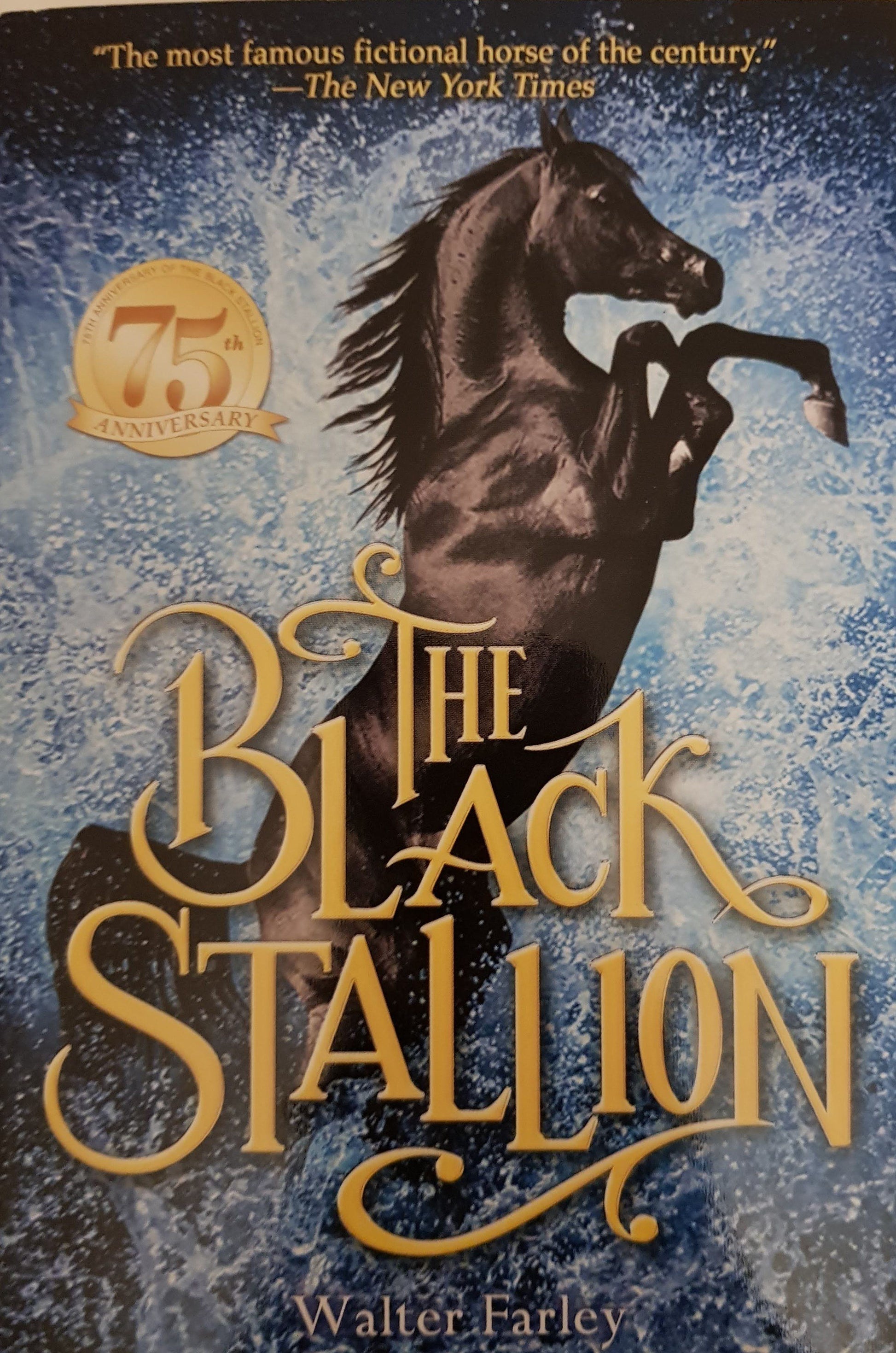 The Black Stallion Like New Recuddles.ch  (6049524711609)