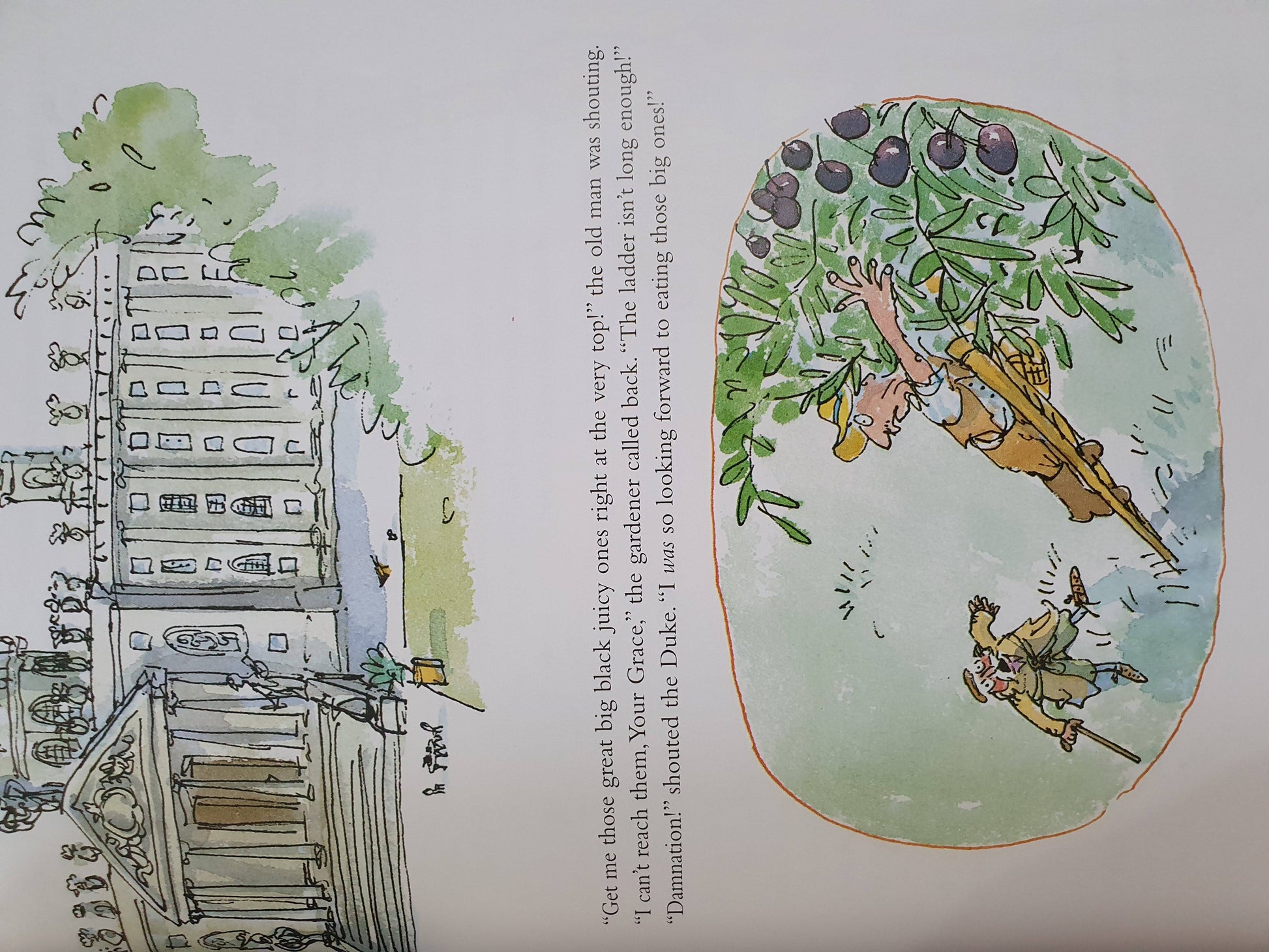 The Giraffe and the Pelly and Me Like New Roald Dahl  (6249014132921)