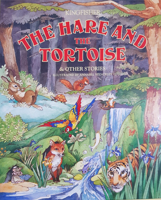 The Hare and The Tortoise Like New, 5+ Yrs Recuddles.ch  (6706329977017)