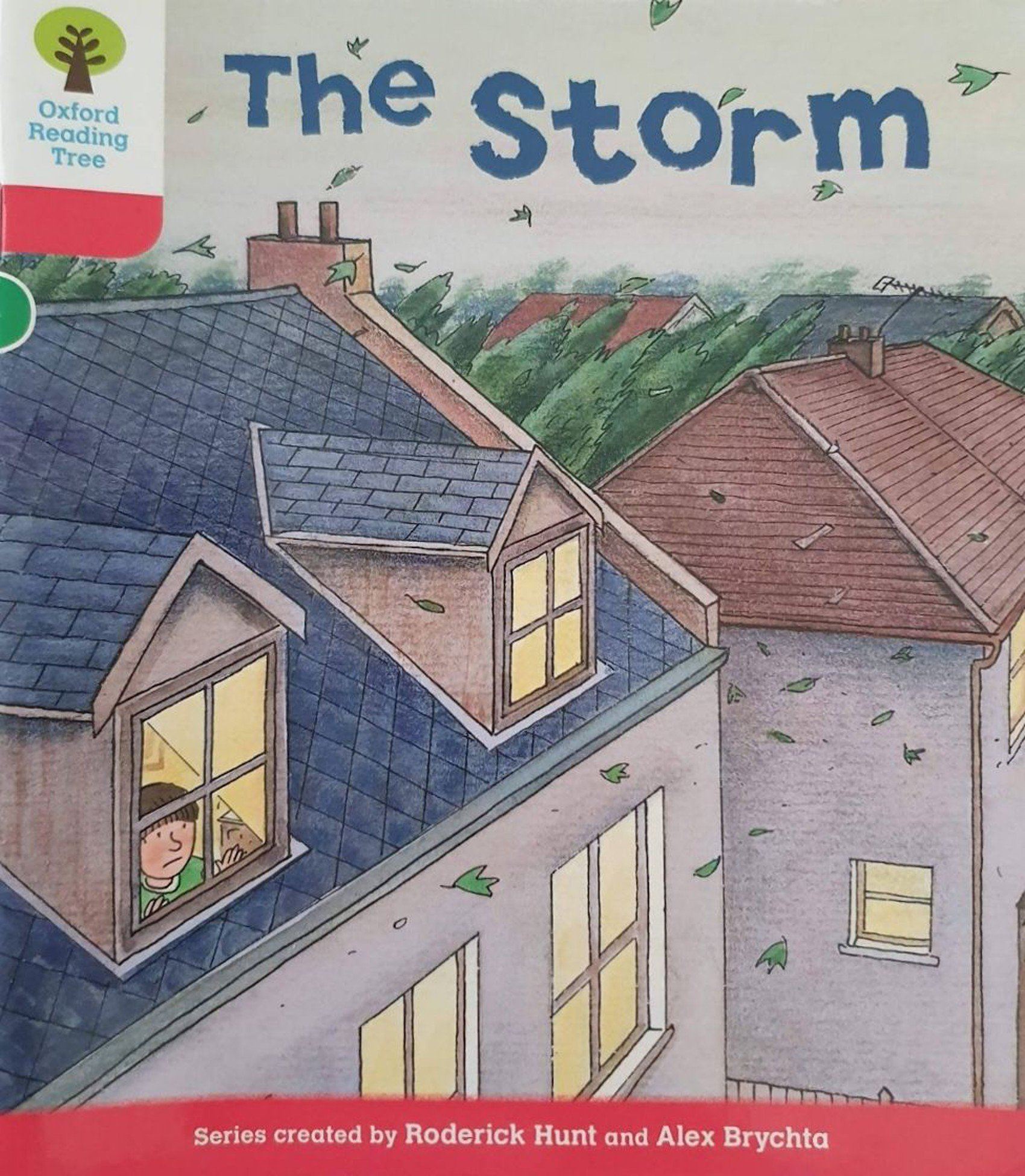 The Storm Like New, 7+ Years Recuddles.ch  (7447686316249)