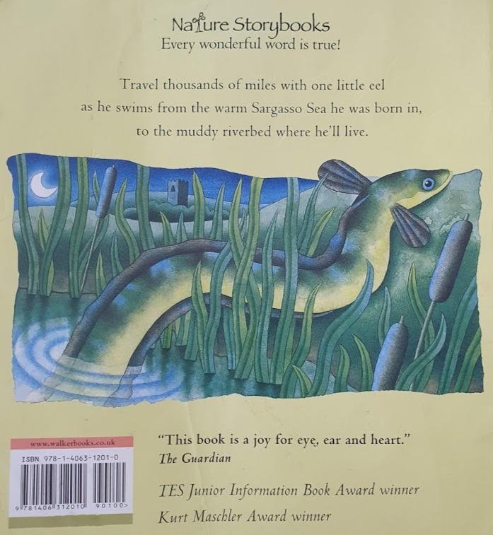 Think of an Eel Well Read Recuddles.ch  (6312294580409)