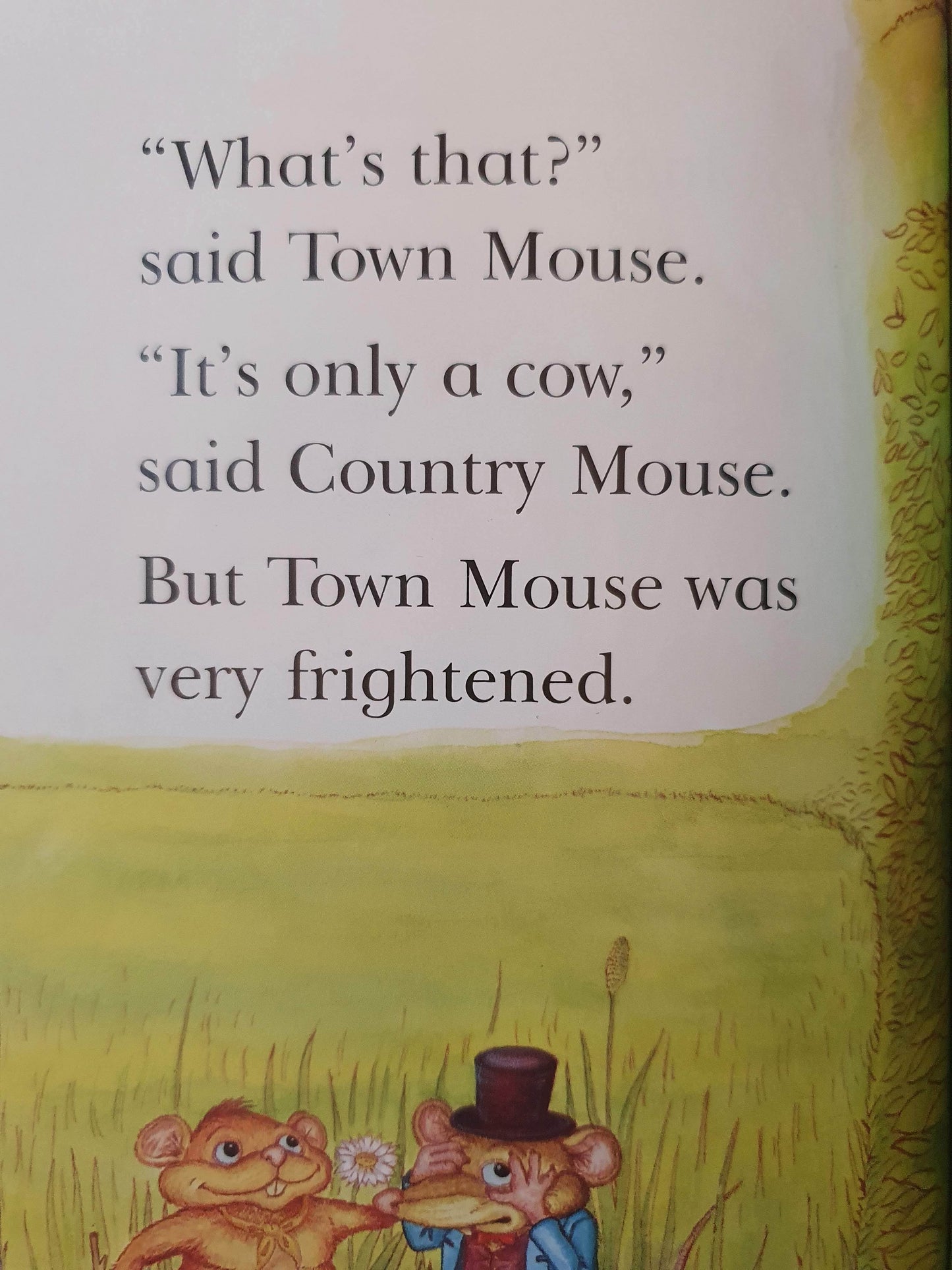 Town Mouse and Country Mouse Like New LadyBird  (4621818429495)