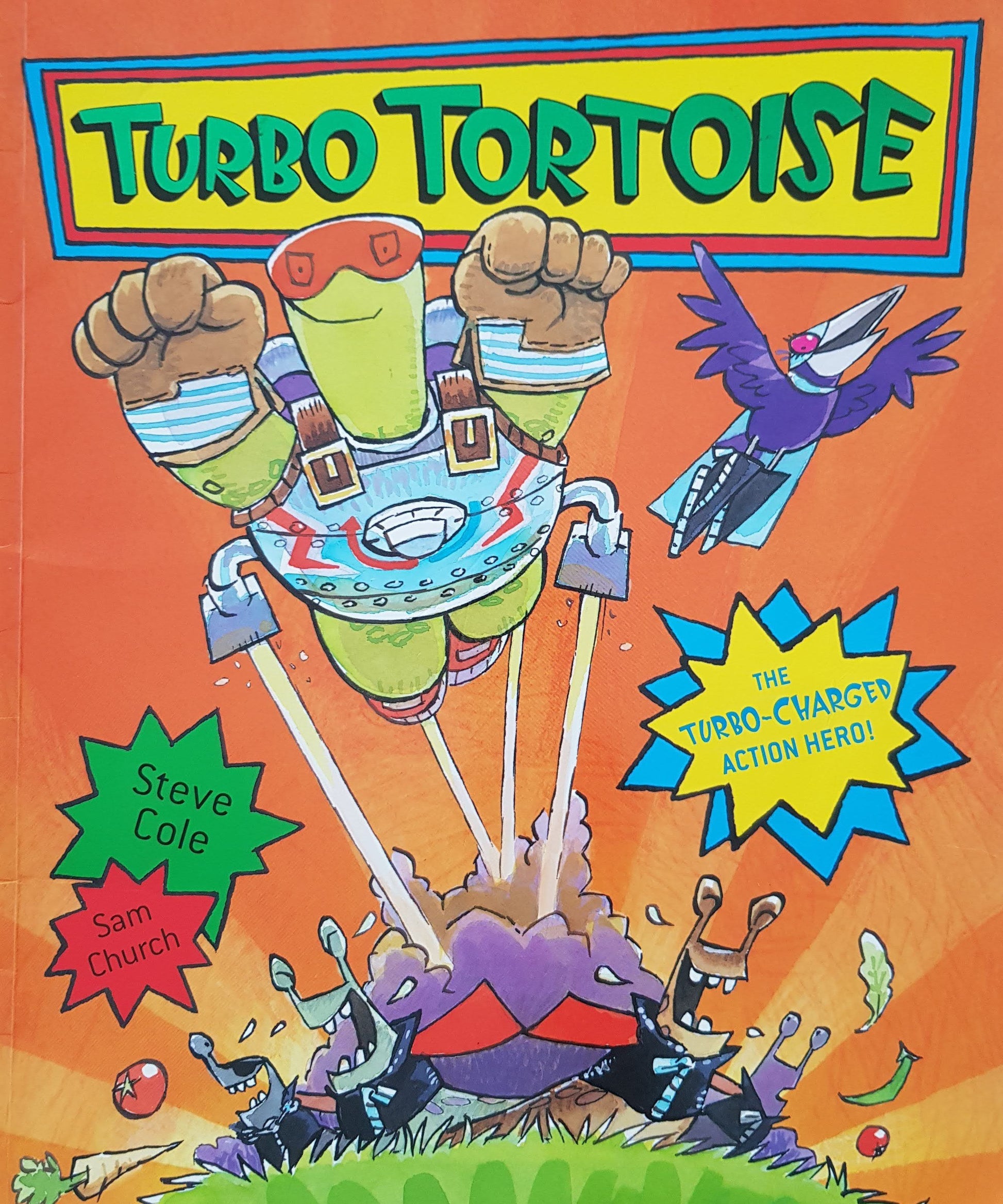 Turbo Tortoise Like New, 3+ Yrs Usborne  (6610891636921)