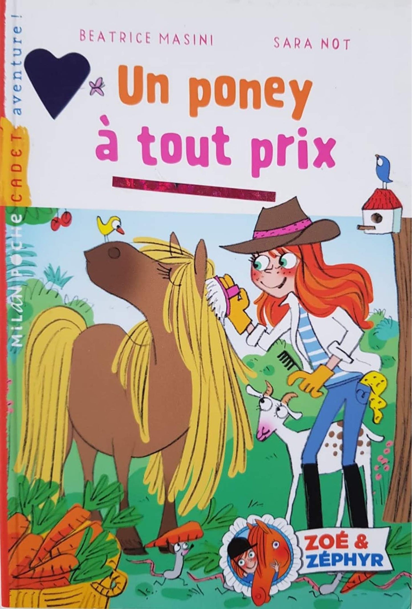 Un poney à tout prix Like New, 7-8 Yrs Recuddles.ch  (6561546830009)