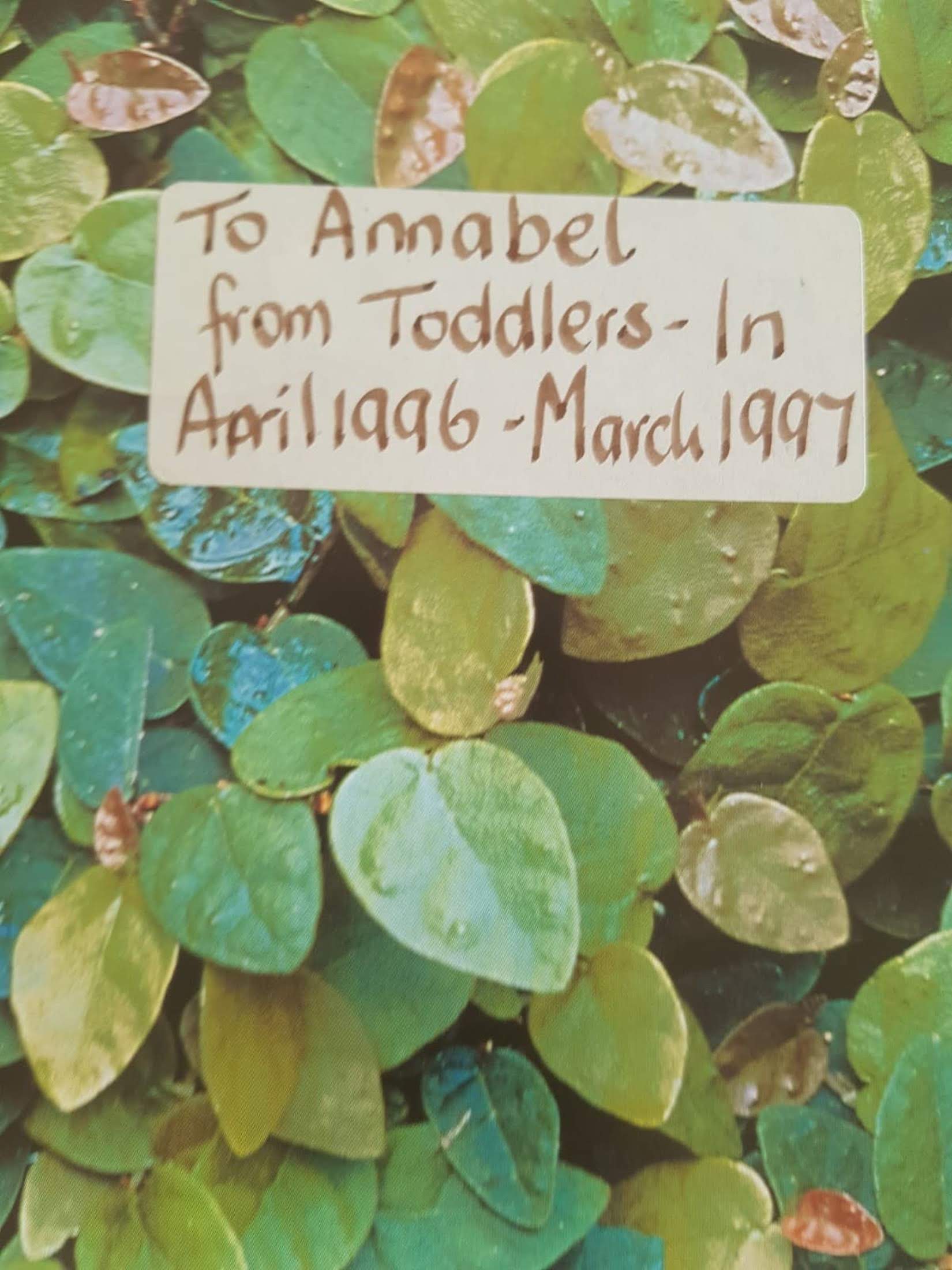 WHY do sunflower face the sun Very Good Recuddles.ch  (6231272620217)