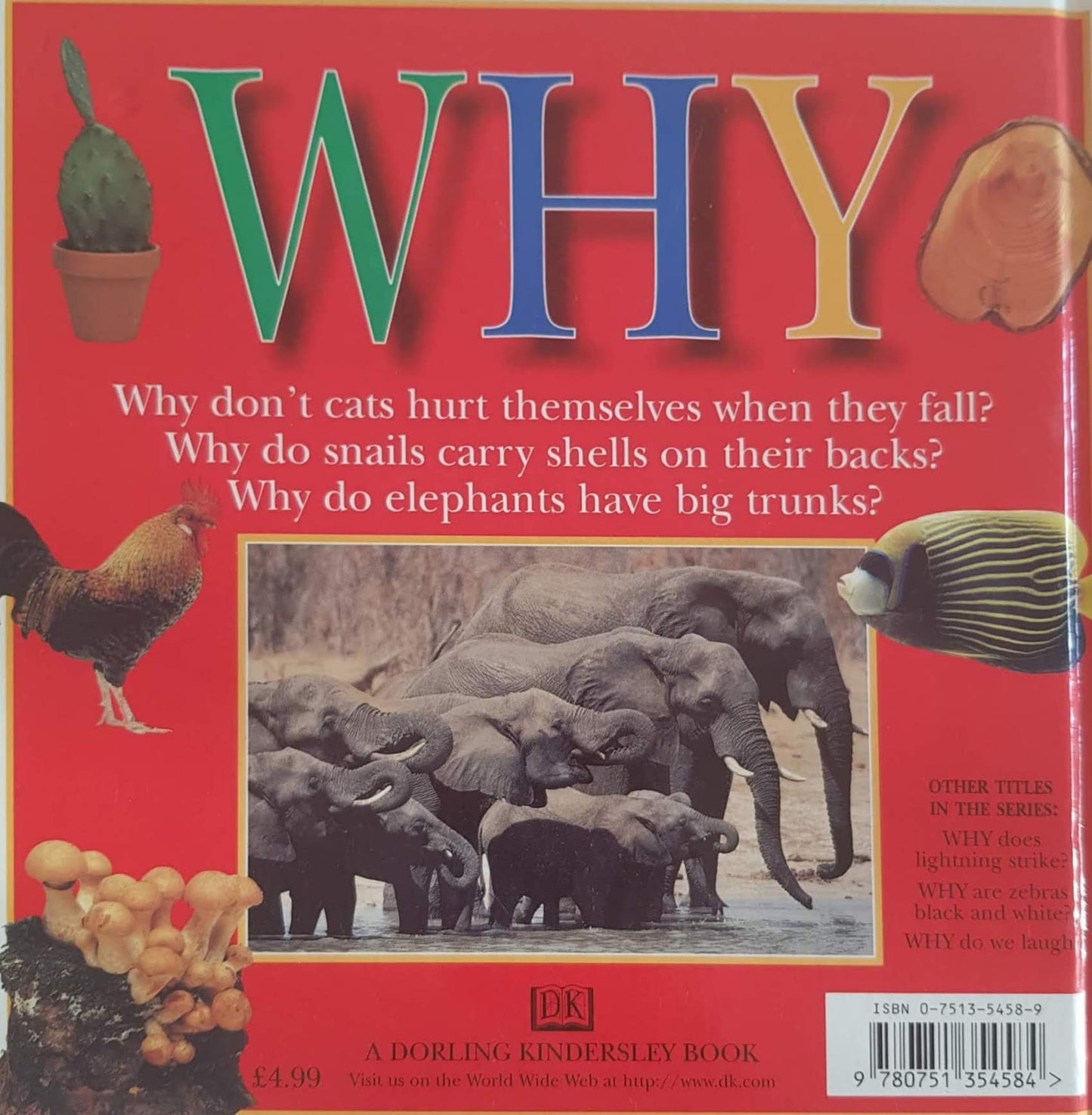 WHY do sunflower face the sun Very Good Recuddles.ch  (6231272620217)