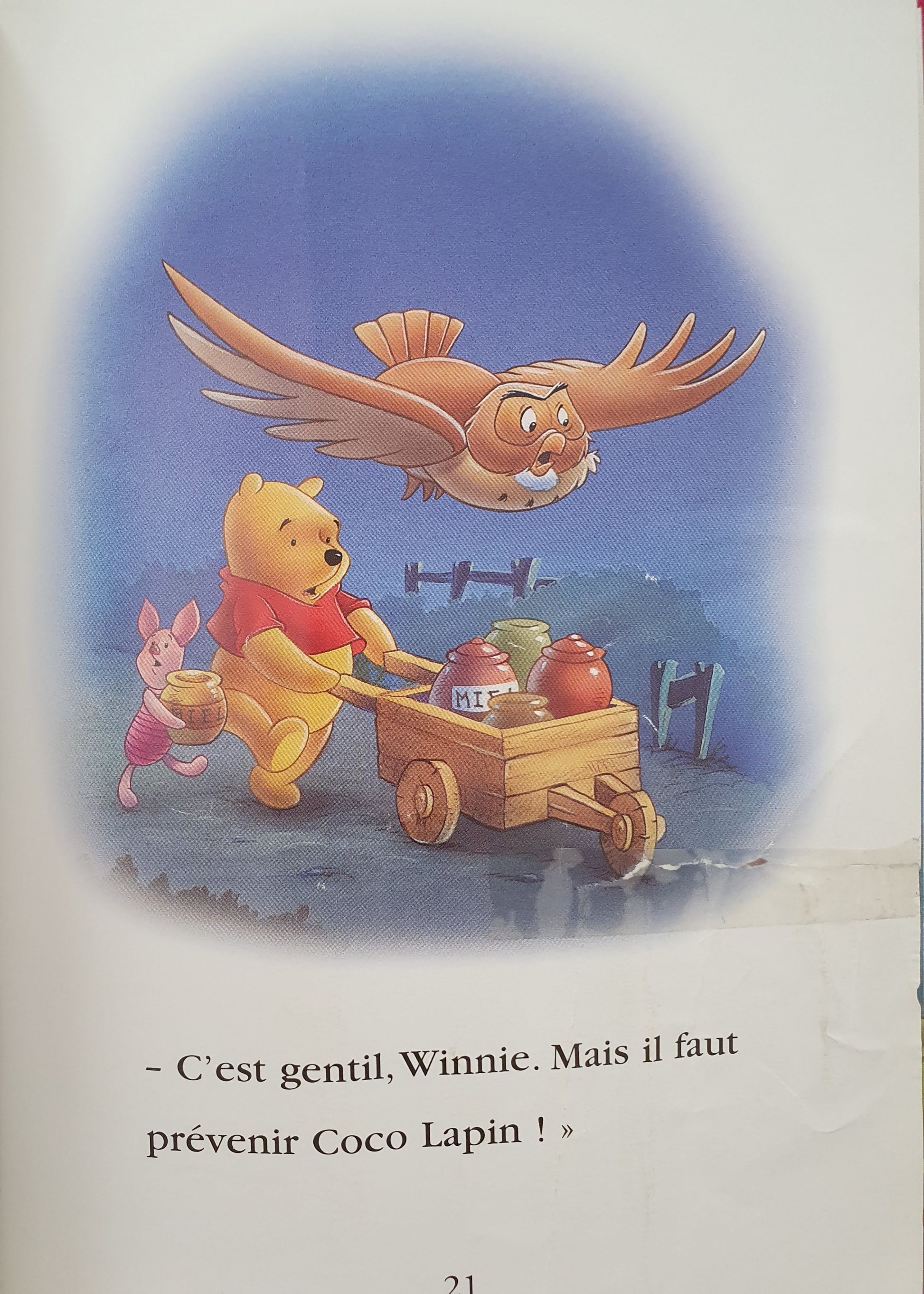 Winnie et le feu d'artifice Like New Disney  (4598533586999)