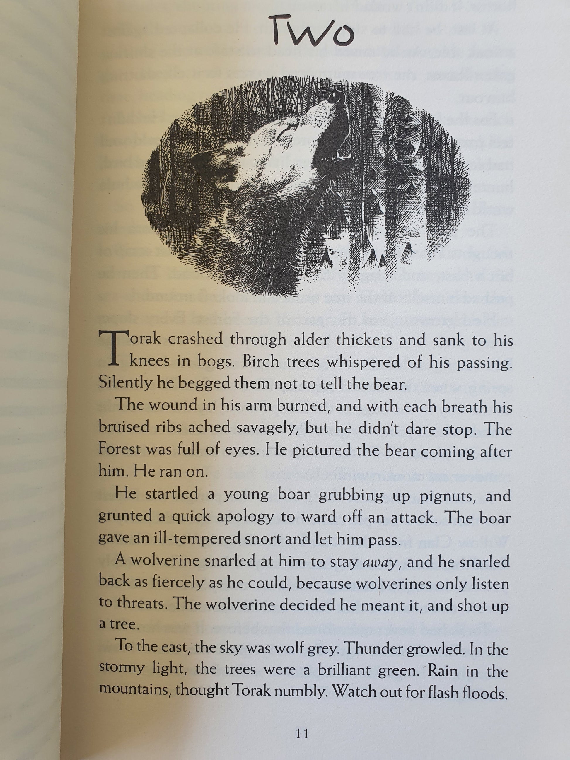 Wolf Brother Like New, 12-17 years Recuddles.ch  (6719404015801)