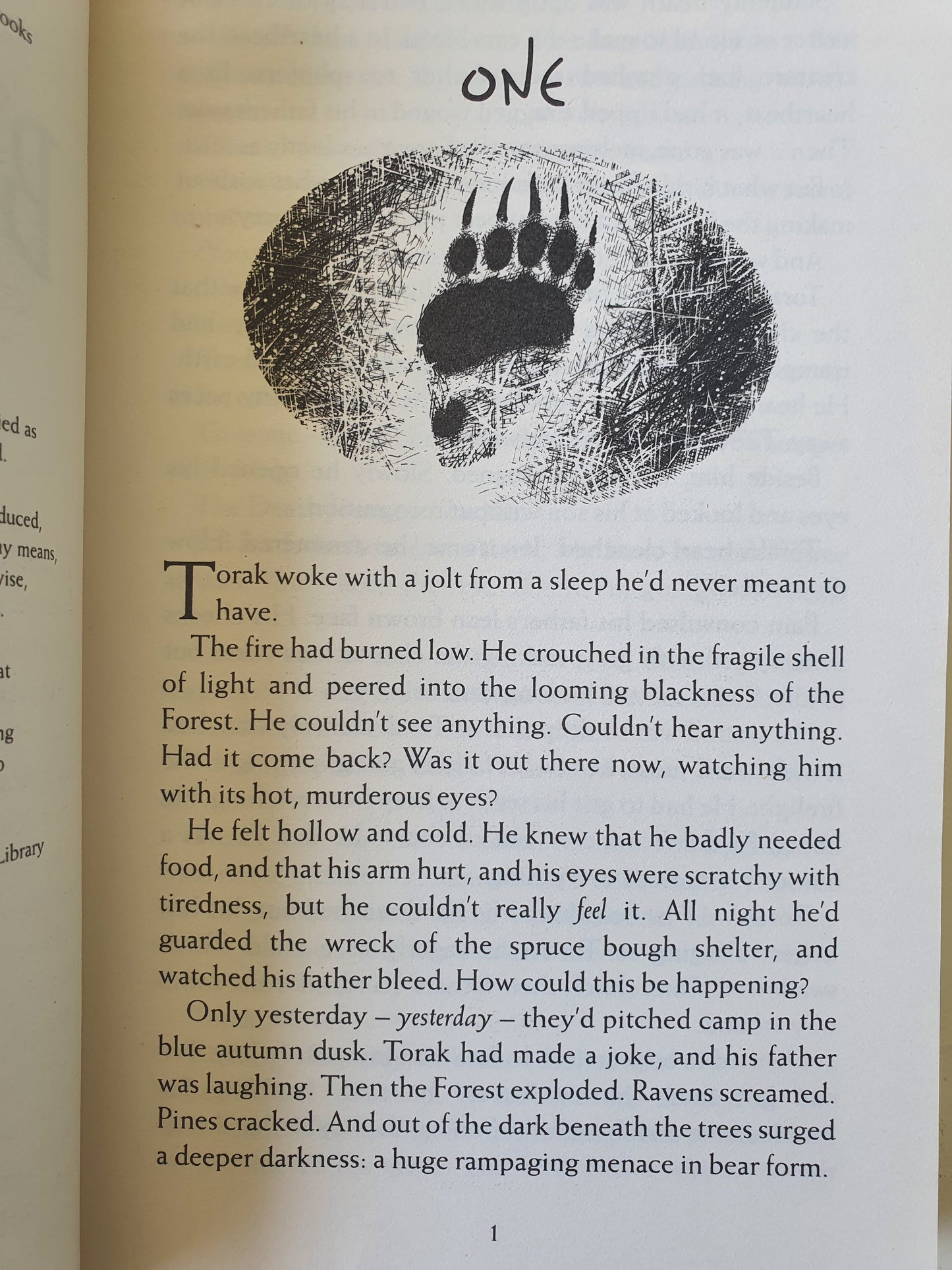 Wolf Brother Like New, 12-17 years Recuddles.ch  (6719404015801)